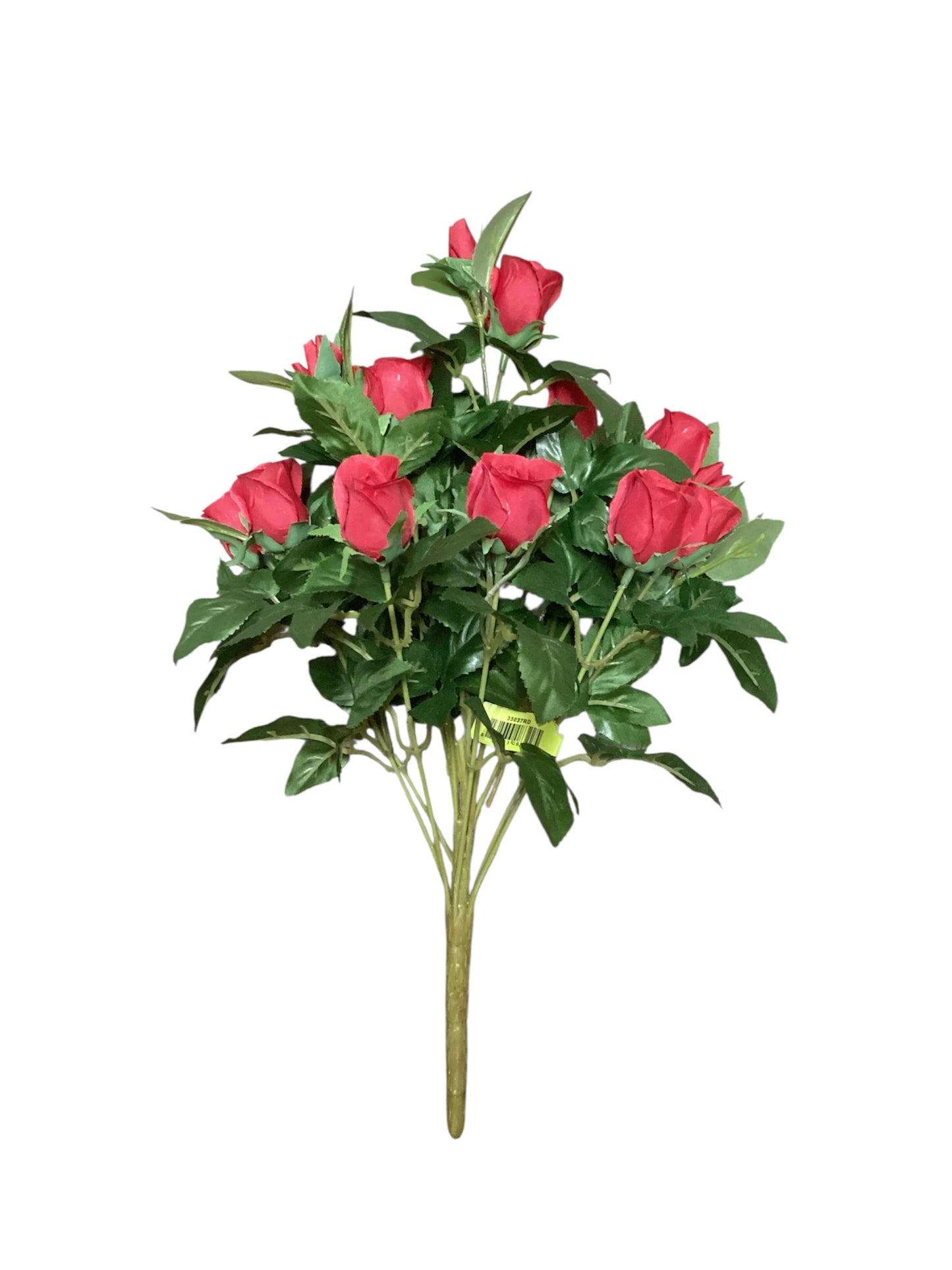 16” Rose Bud Bush x11 - RD