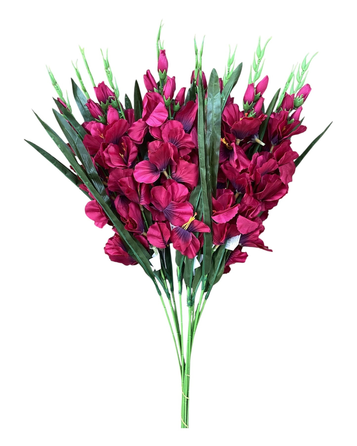 Gladiola Spray -BG
