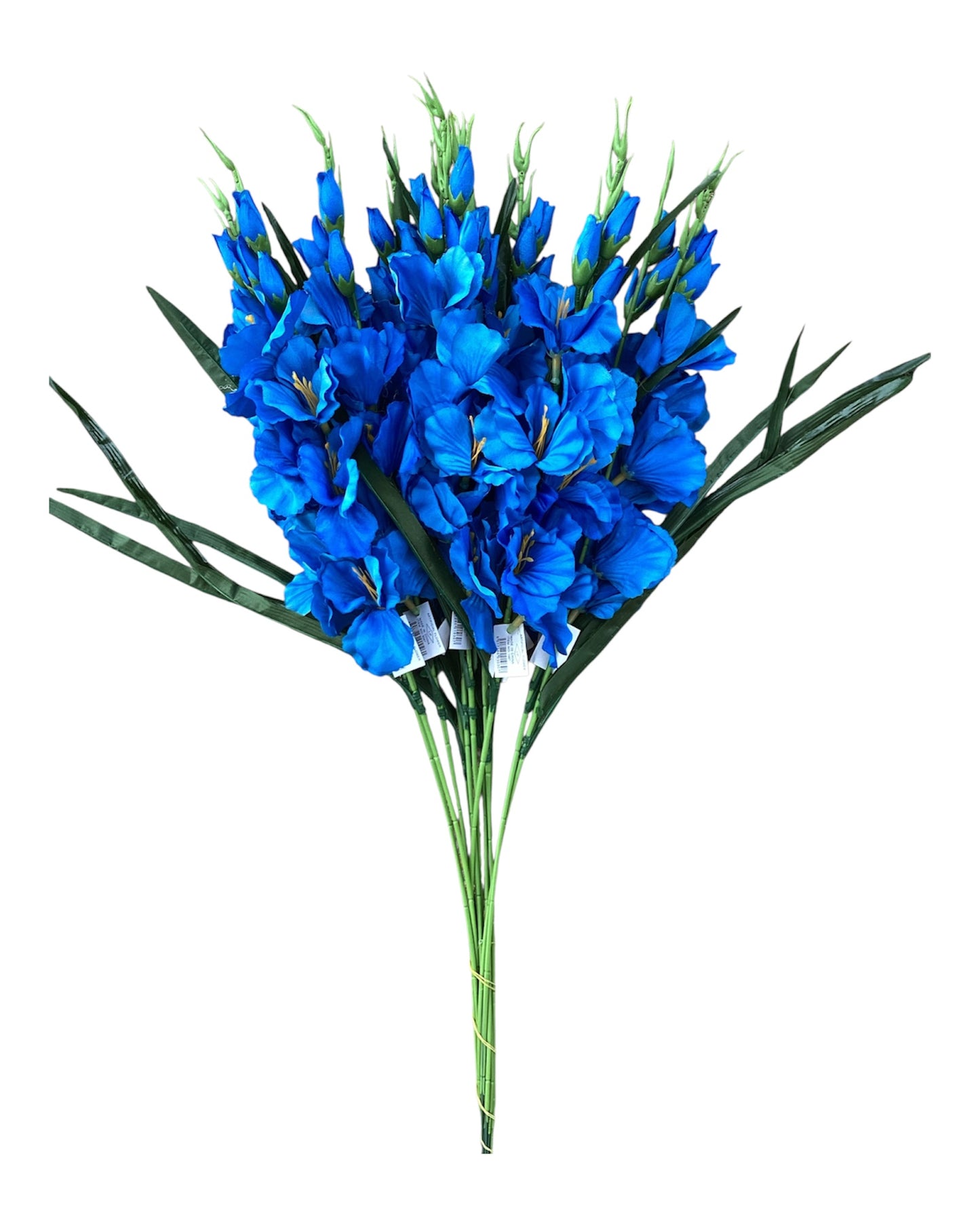 Gladiola Spray - TQ