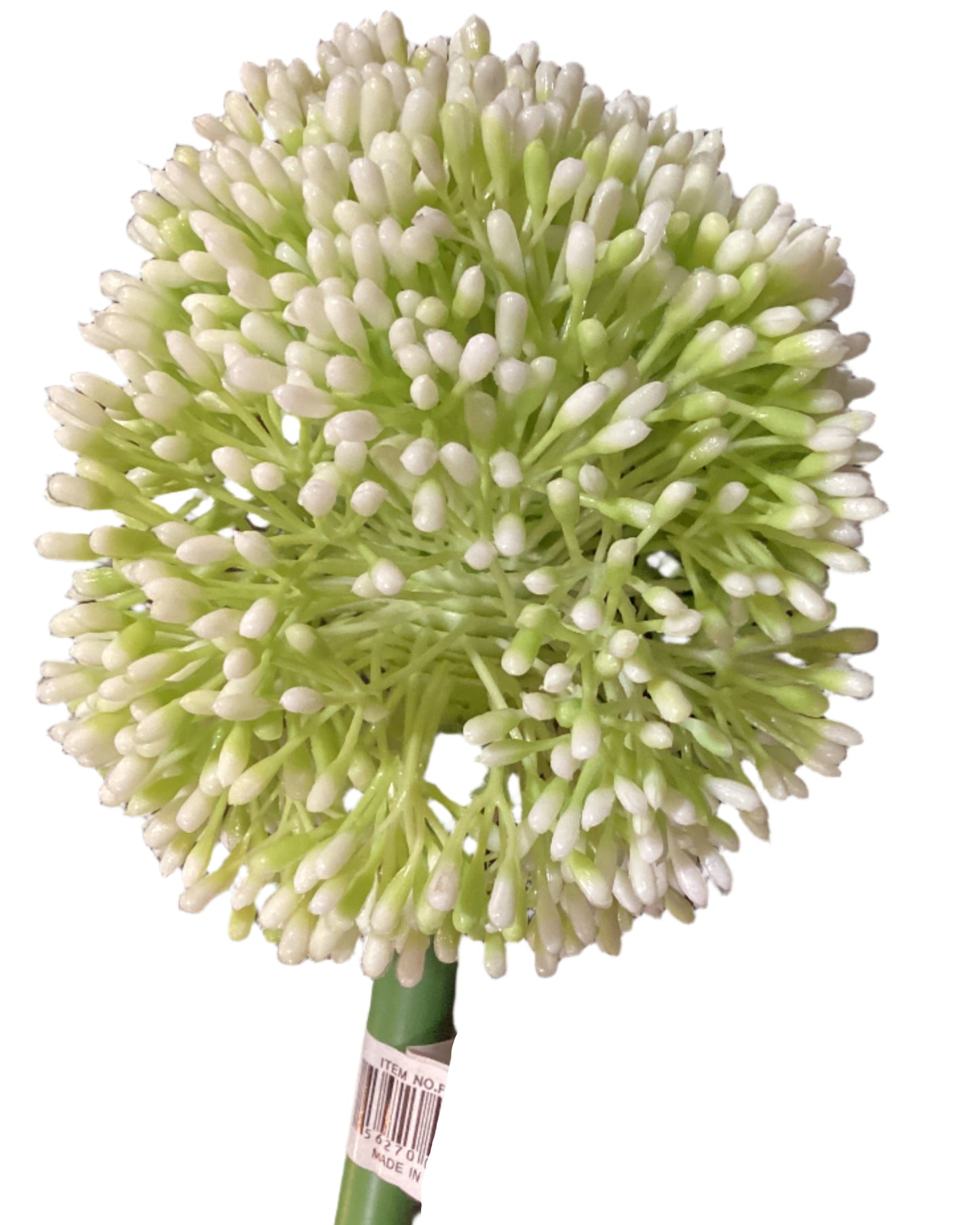 Allium Spray -CR