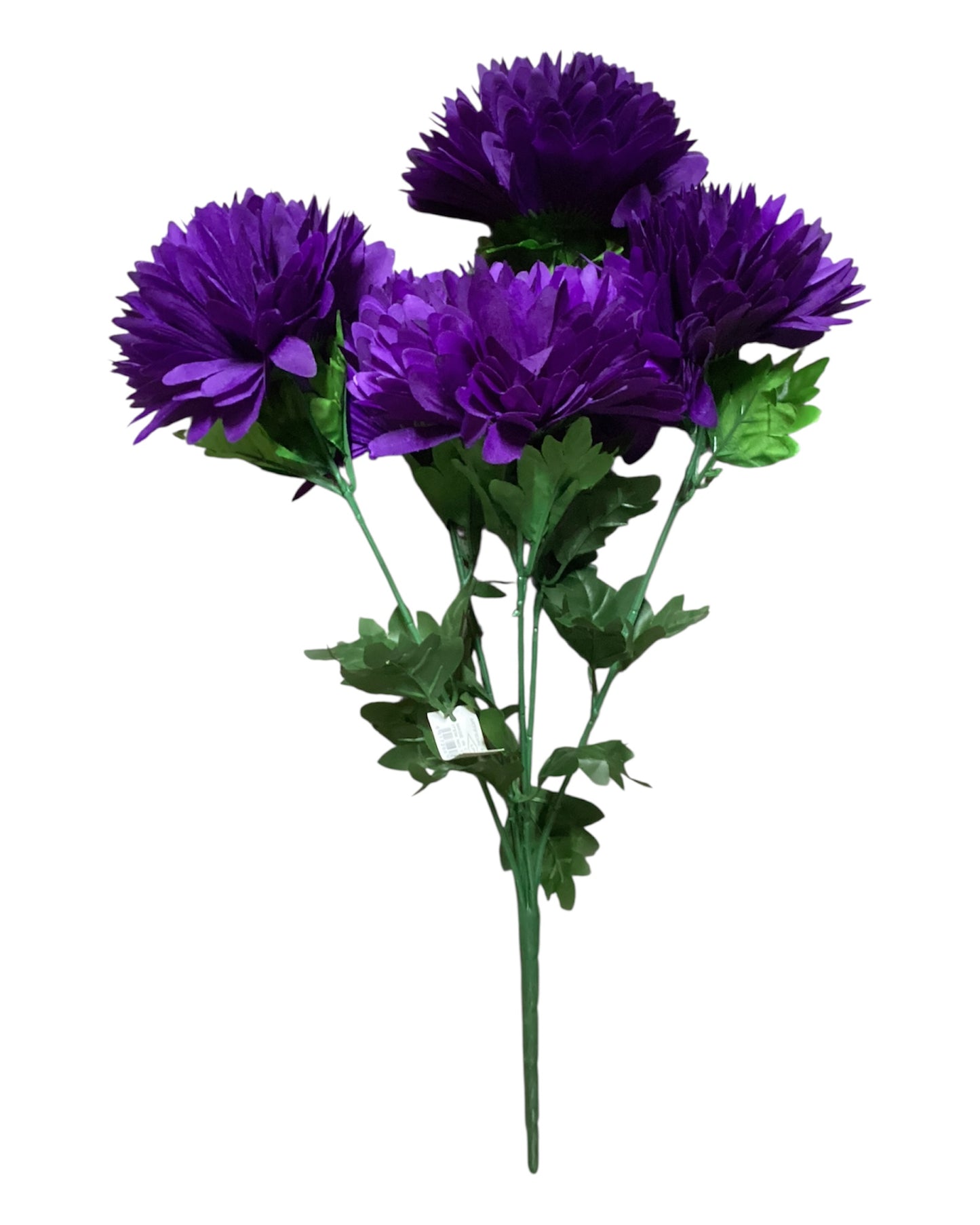 Mum Bush x5 - PUR