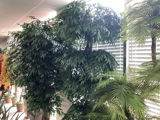 8’ Smilex Tree x3