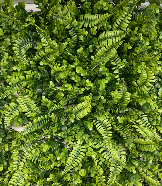 3D Boxwood Panel w Fern