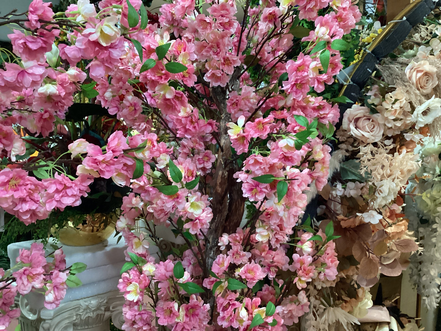 CHERRY BLOSSOM TREE - HP