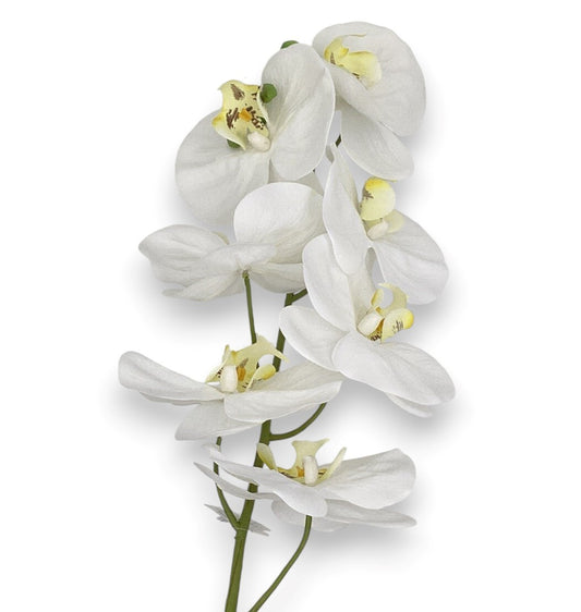 42"PHALAENOPSIS ORCHID SPRAY white