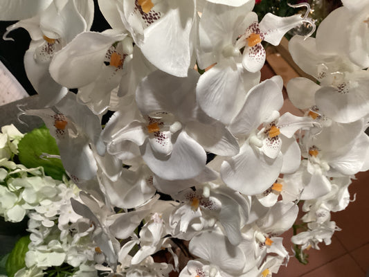 44IN Hanging Orchid Bush x3