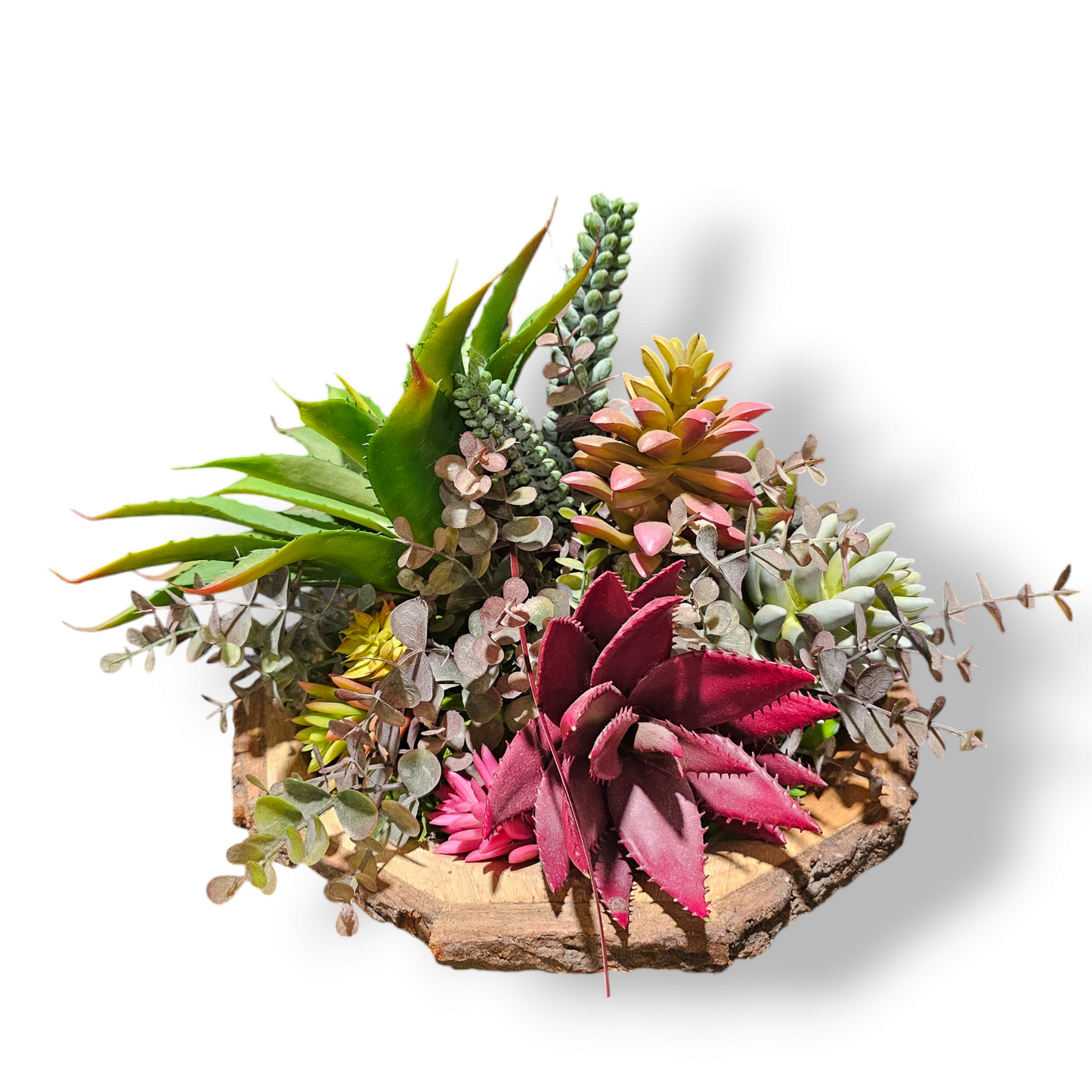 Succulent Arrangement