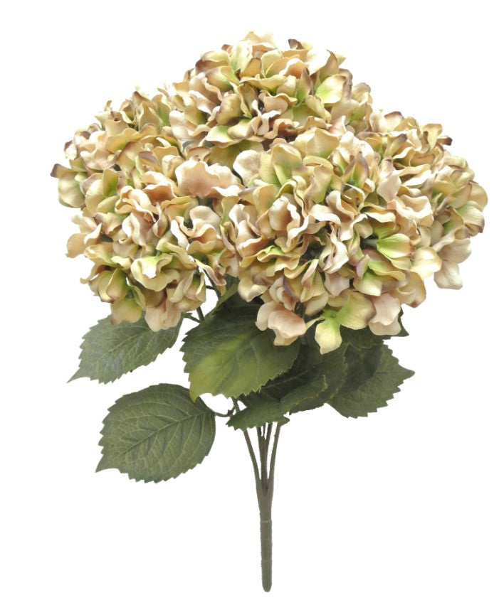 20IN Hydrangea Bush x5 - TAUP