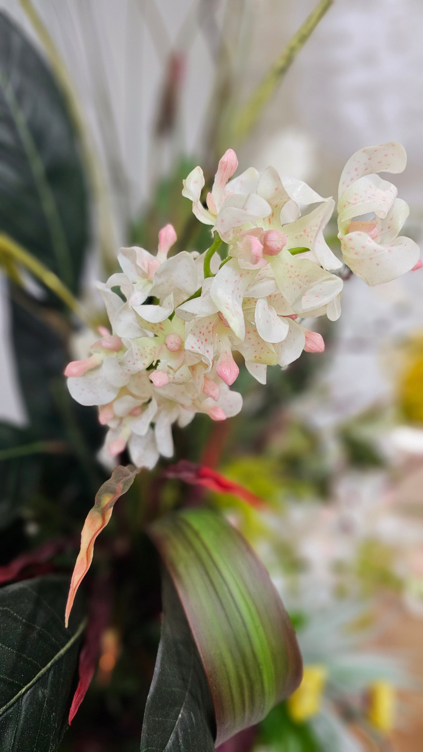 Tropical Orchid Arrangement