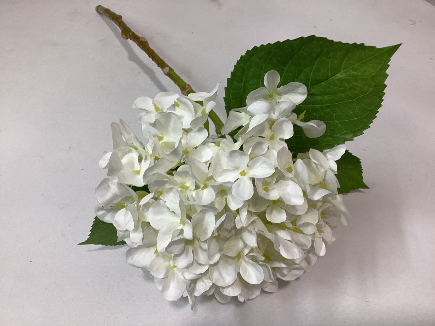 Single Hydrangea Stem