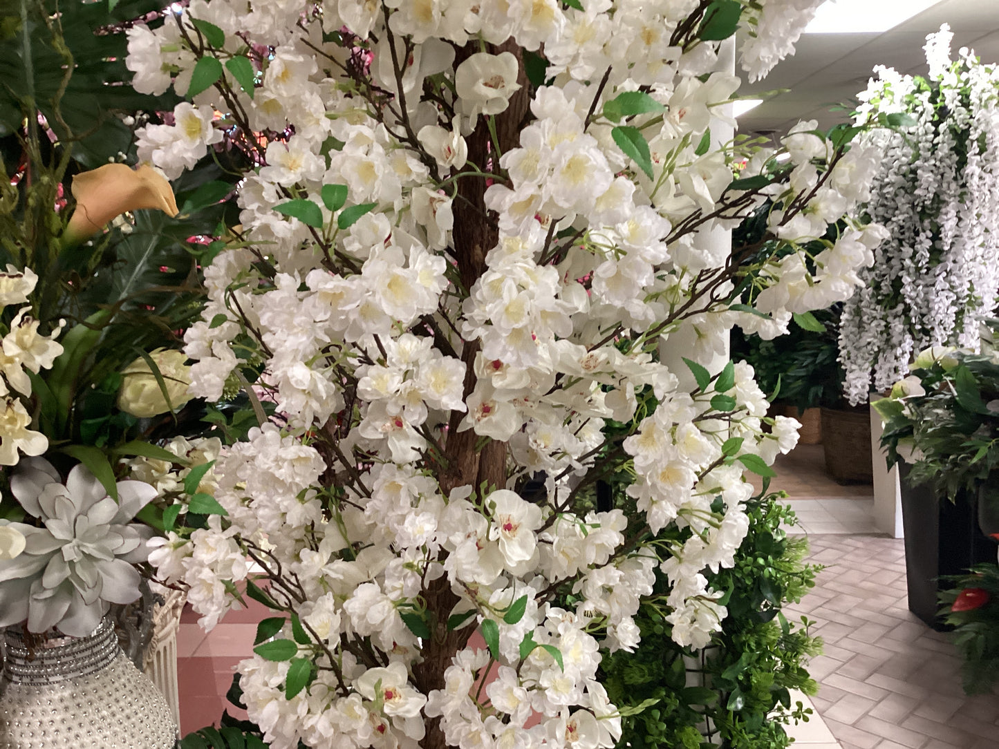 Cherry Blossom w/ Orchid