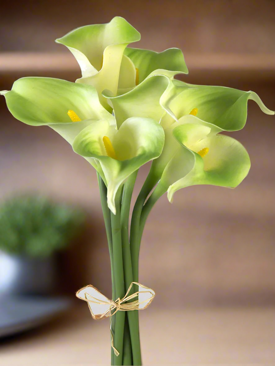 12" CALLA LILY STEM X7 - GREEN