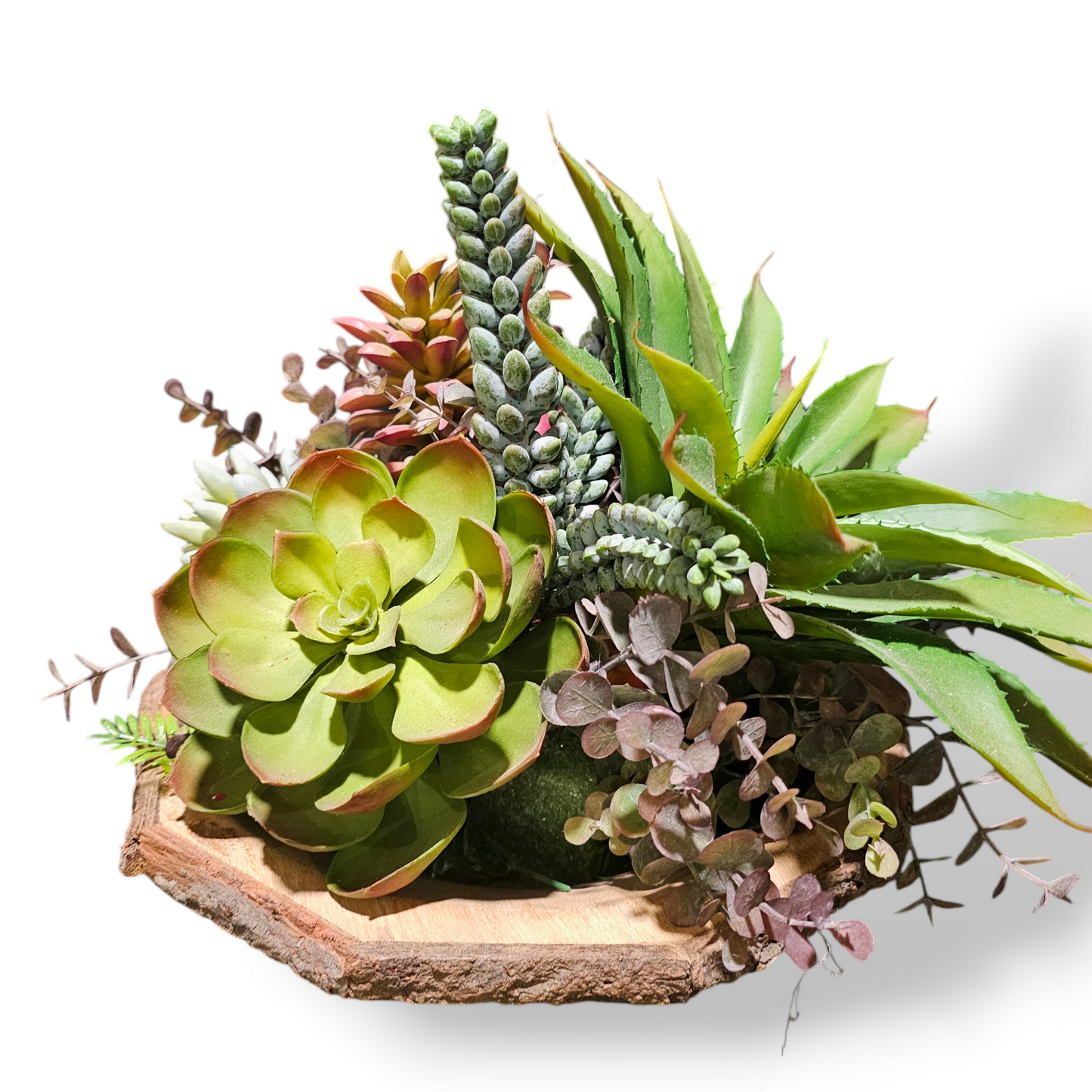 Succulent Arrangement