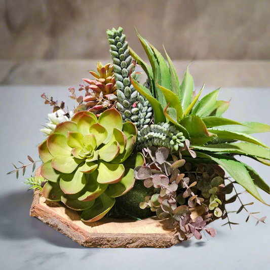 Succulent Arrangement