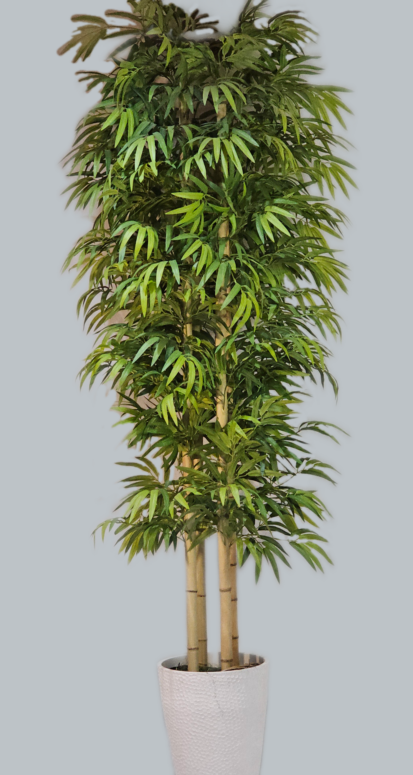 7' Bamboo Tree