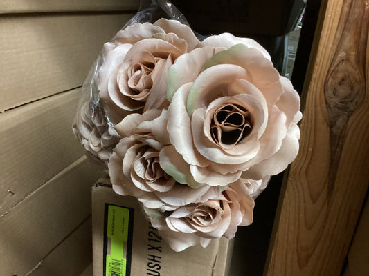 Color Fast Lilian Open Rose - LATTE