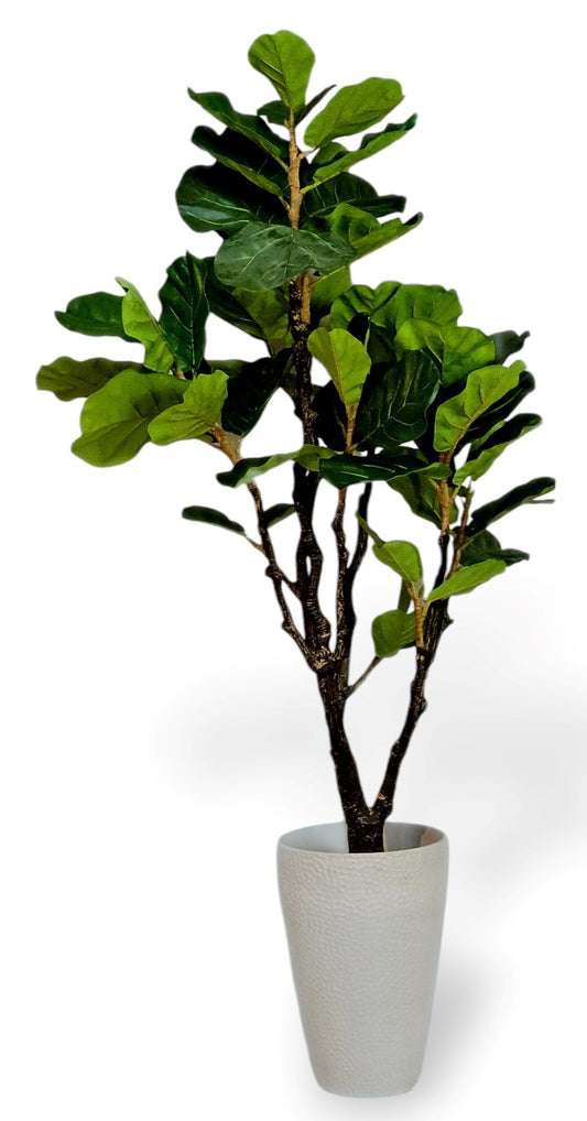 6’ Fiddle Leaf Tree