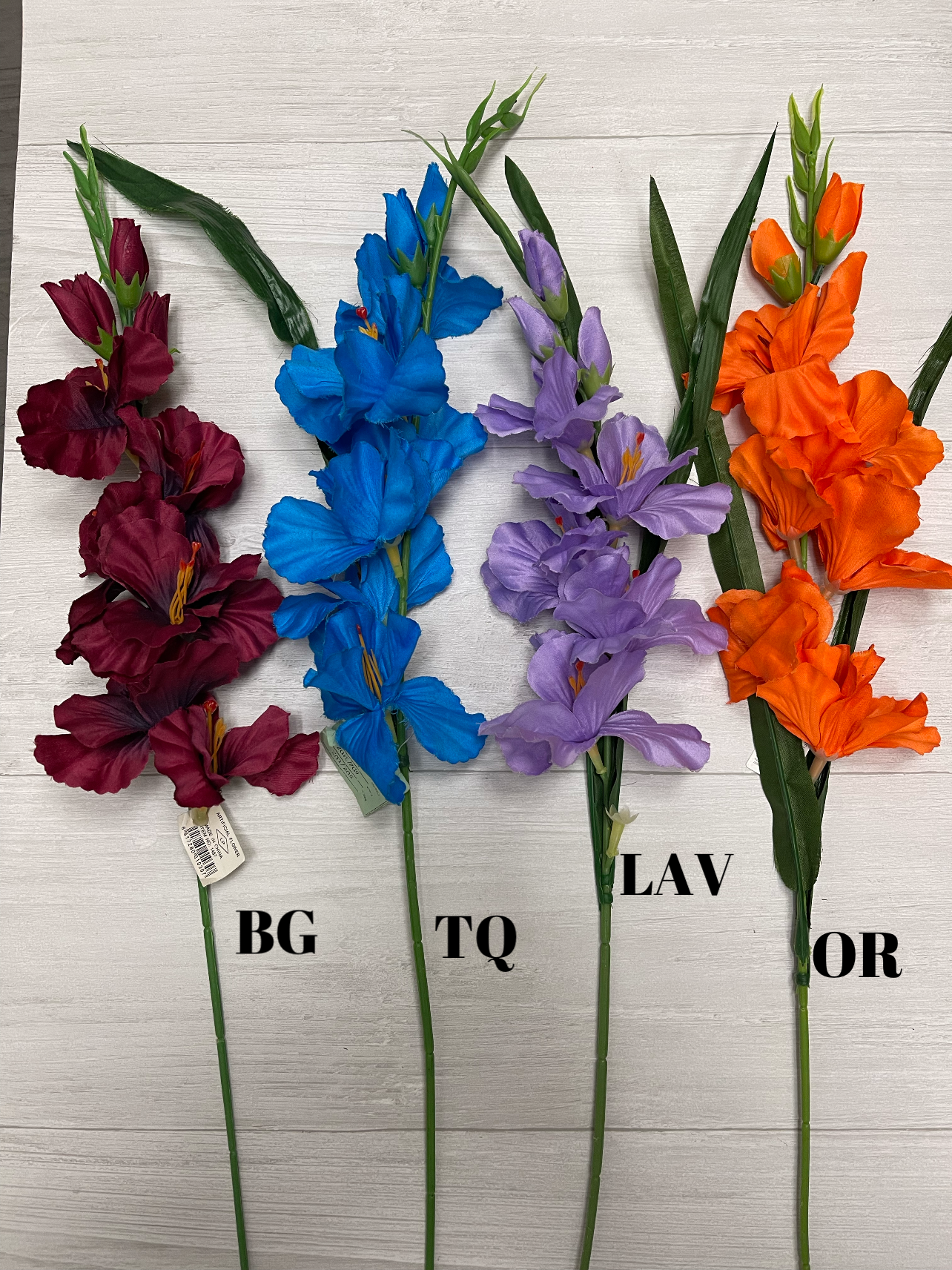 Gladiola Spray -BG