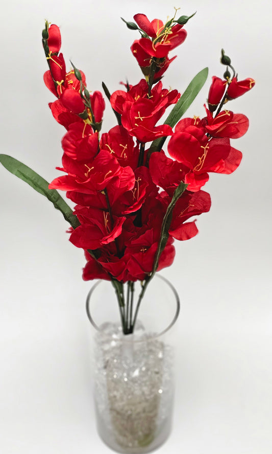 Gladiolus Bush x5