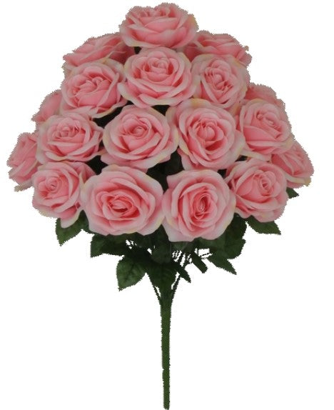 22 IN Micro Peach Rose Bush - PINK