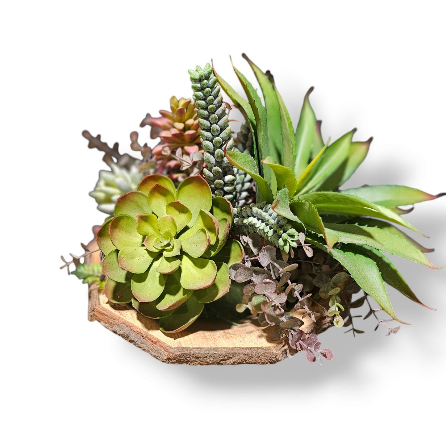 Succulent Arrangement