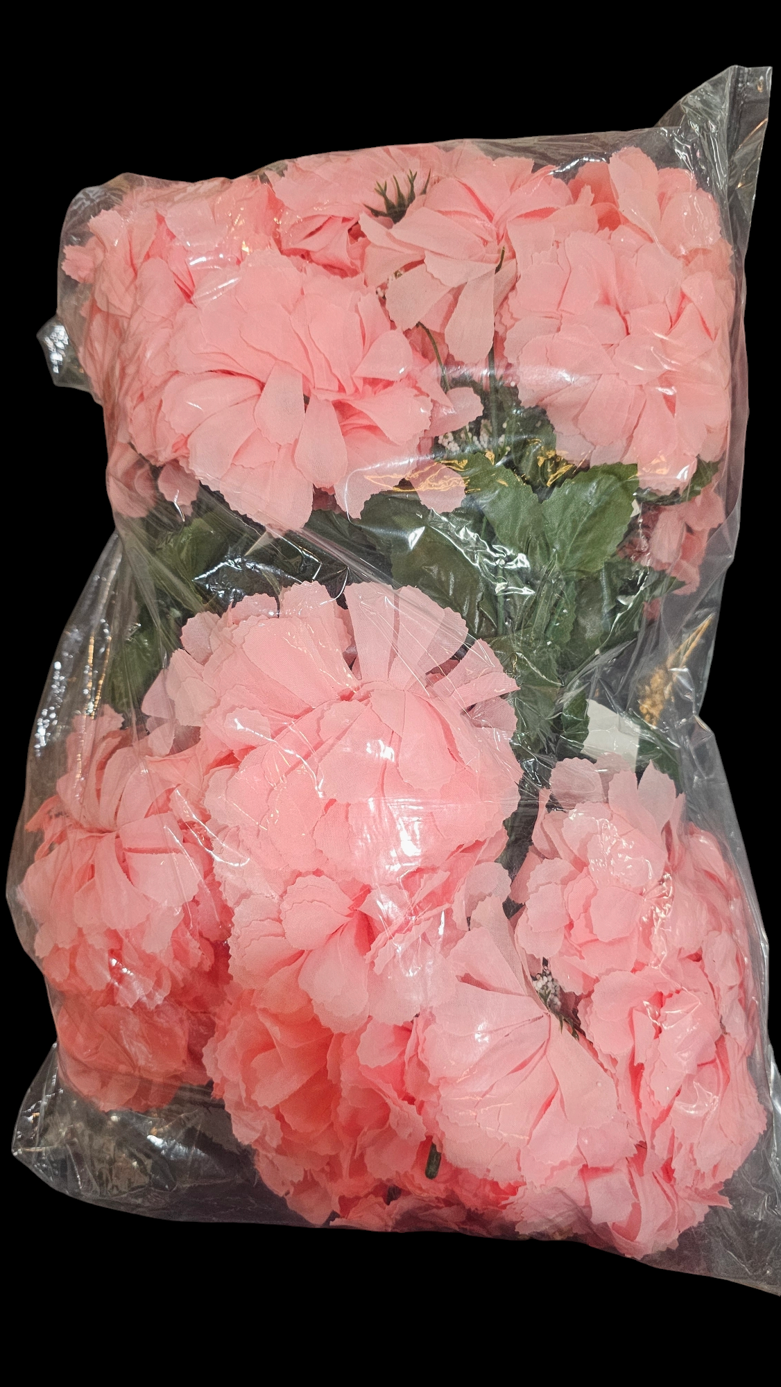 Mum Bush x6 Dozen Bag - PK