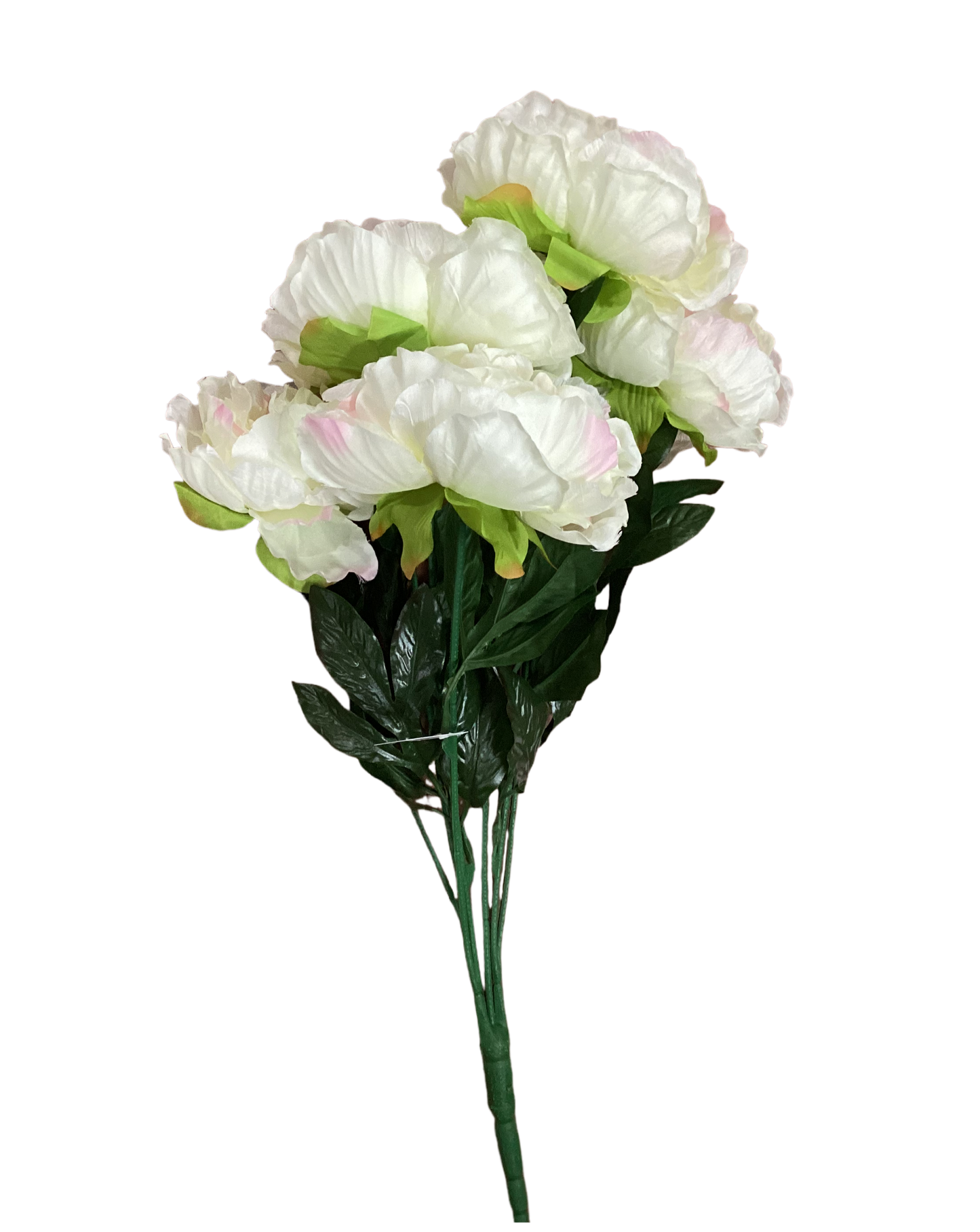 22” PEONY BUSH X7 CREAM