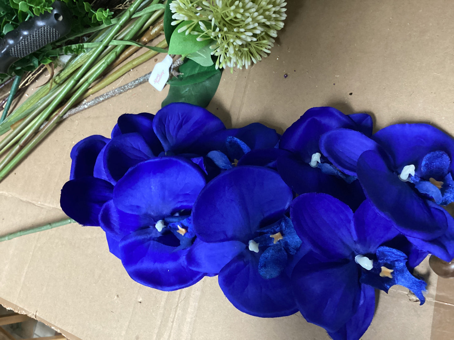 Orchid/blue