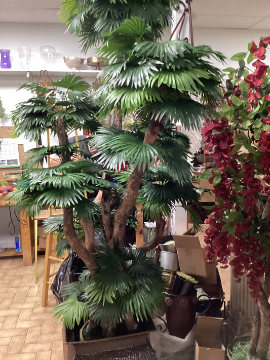 8’ fan Palm tree x 8