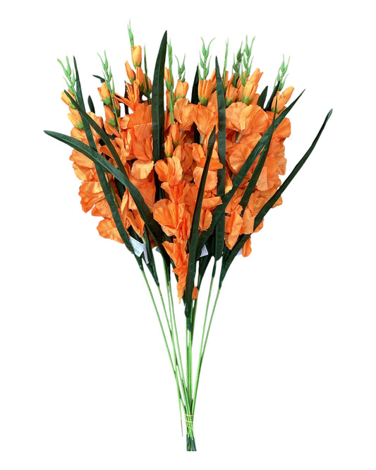Gladiola Spray - OR