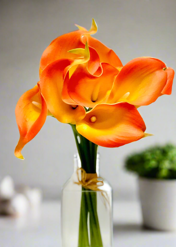 14” Calla Lily Bundle -OR