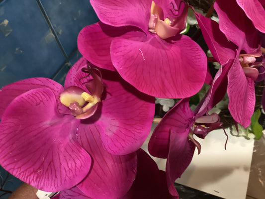 42” Phalaenopsis Orchid Real Touch - Fuschia