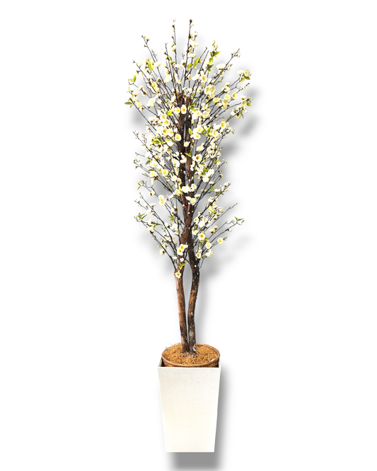 Blooming Cherry Blossom Tree - CREAM