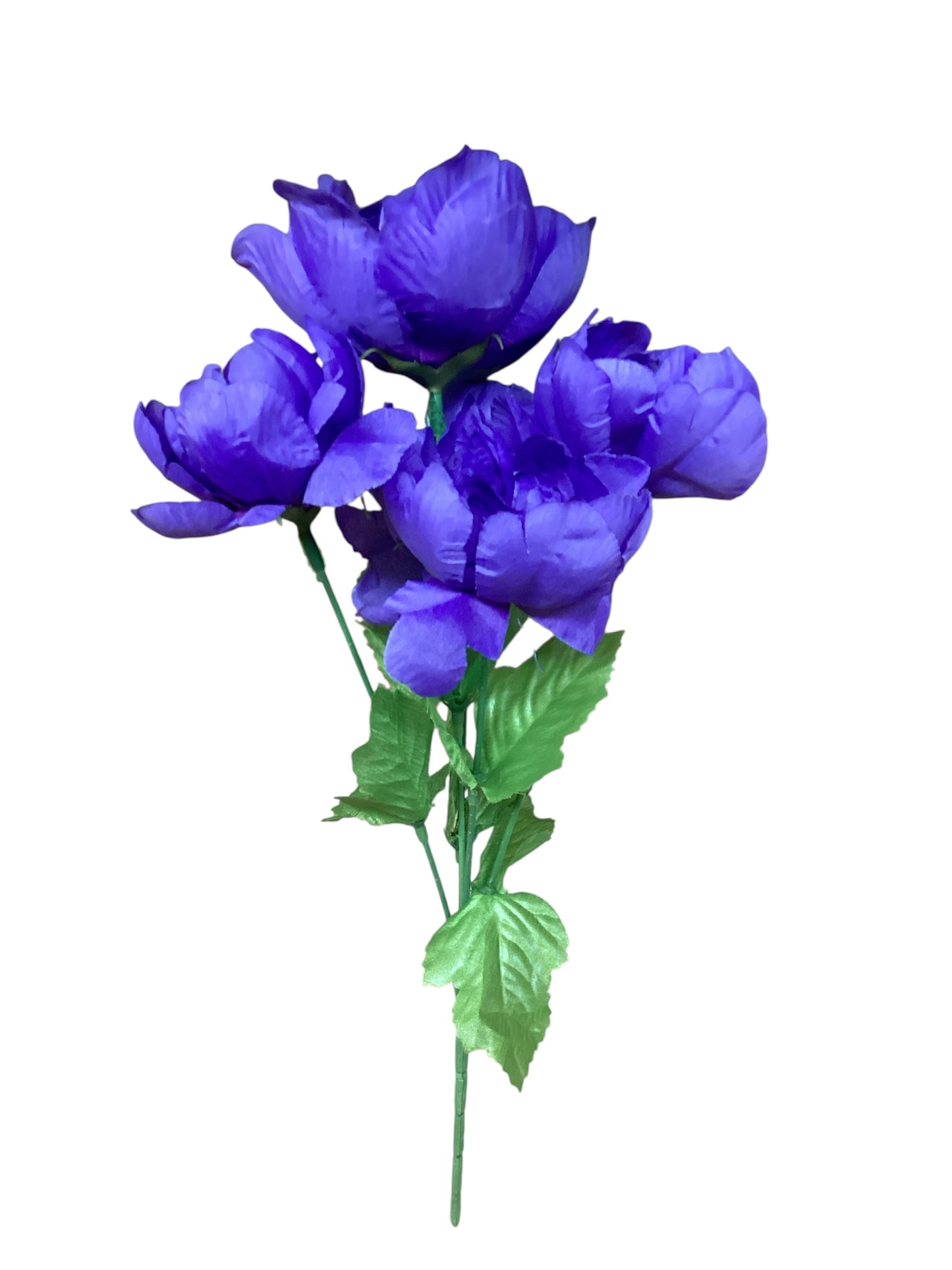 Peony Bush x5 Dozen Bag Purple