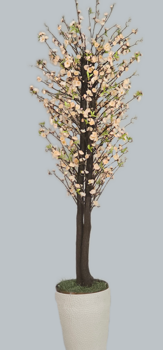 Blooming Cherry Blossom Tree - PEACH