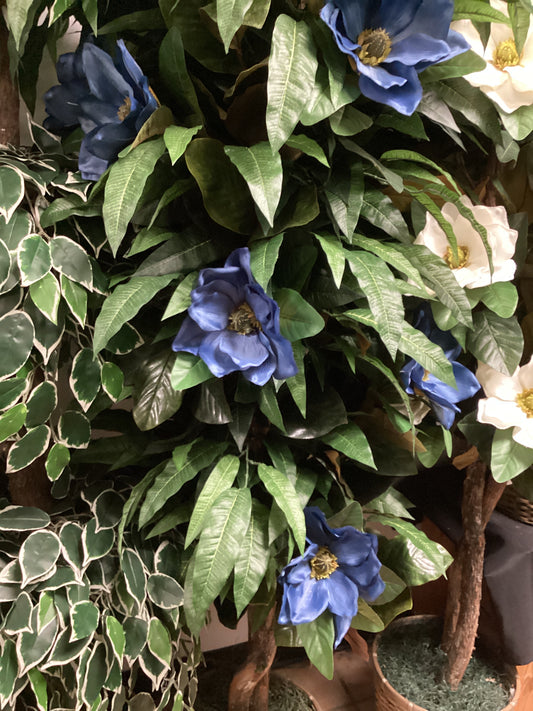 Magnolia tree / mango leaf —BL