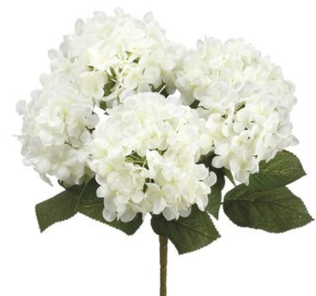 14"HYDRANGEA BUSH X5 CR