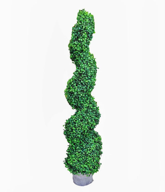 4’ Boxwood Spiral Topiary