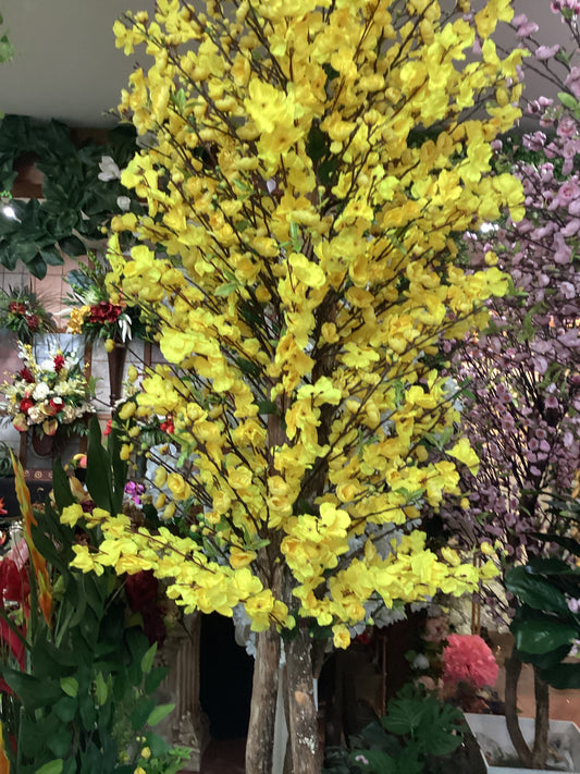 Cherry Blossom/yellow bushes