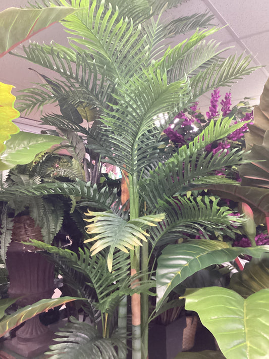 8’ Lady Palm x4