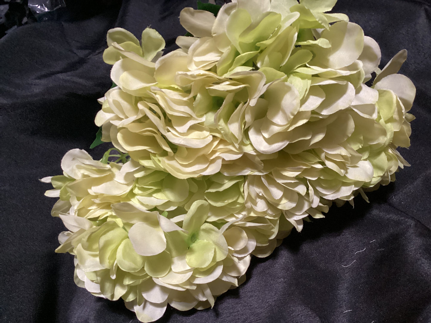 21"HYDRANGEA BUSH X7 CR