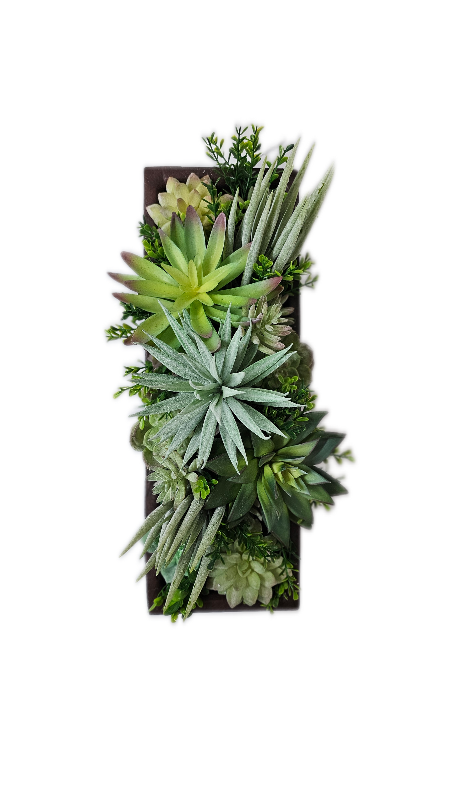 Succulent Arrangement 17.5"  rectangle vase