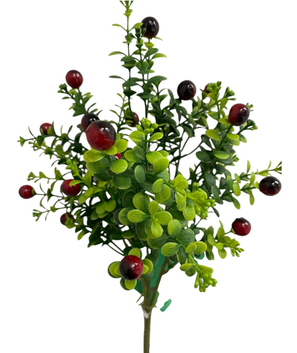 Berry Fruit Bush  x7