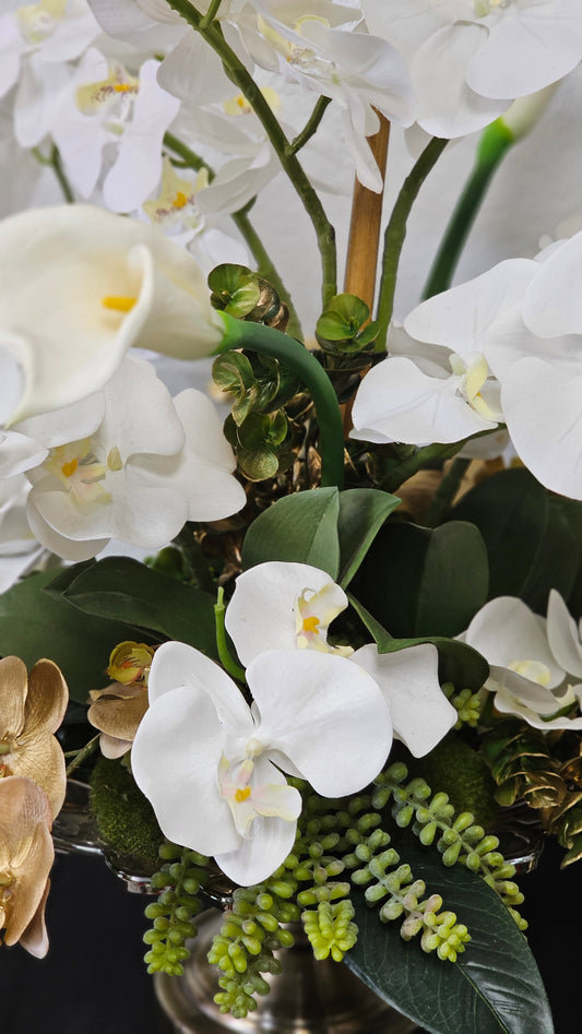 White and Gold Orchid Arrangement