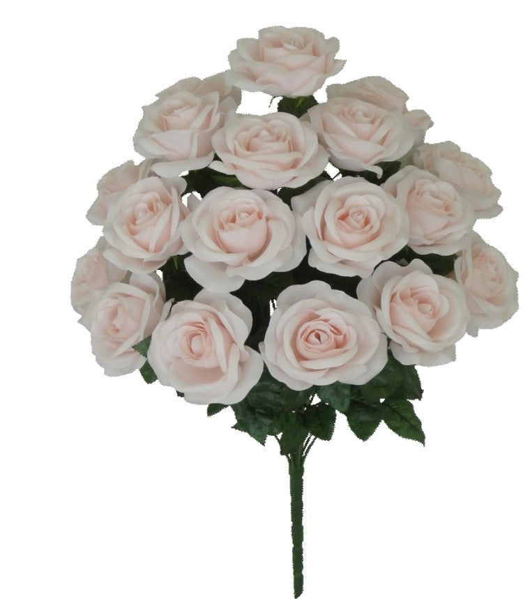 22 IN Micro Peach Rose Bush -  BLUSH PINK