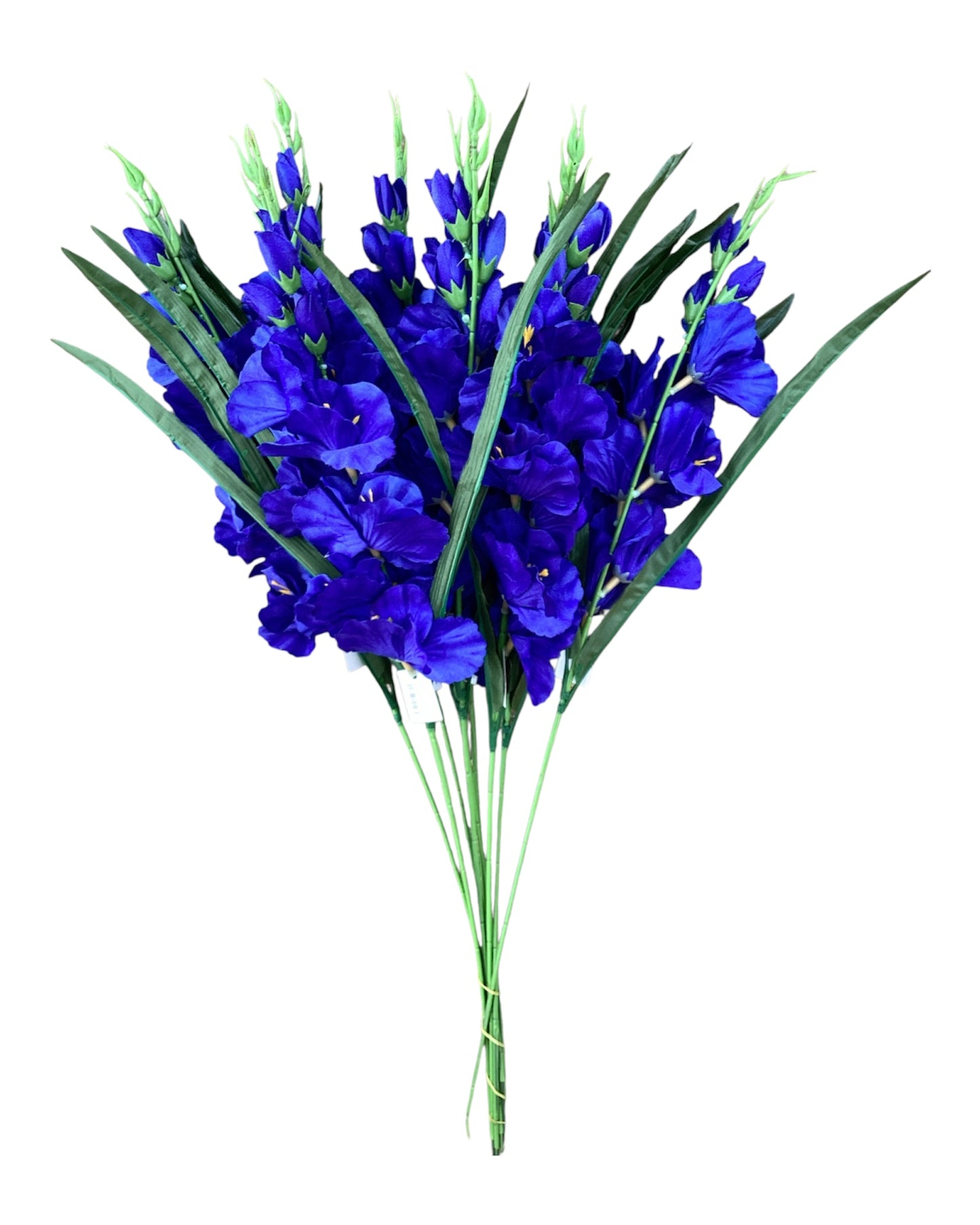Gladiola Spray - BL