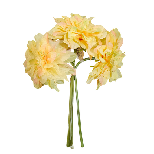 Dahlia Bundle - YELLOW