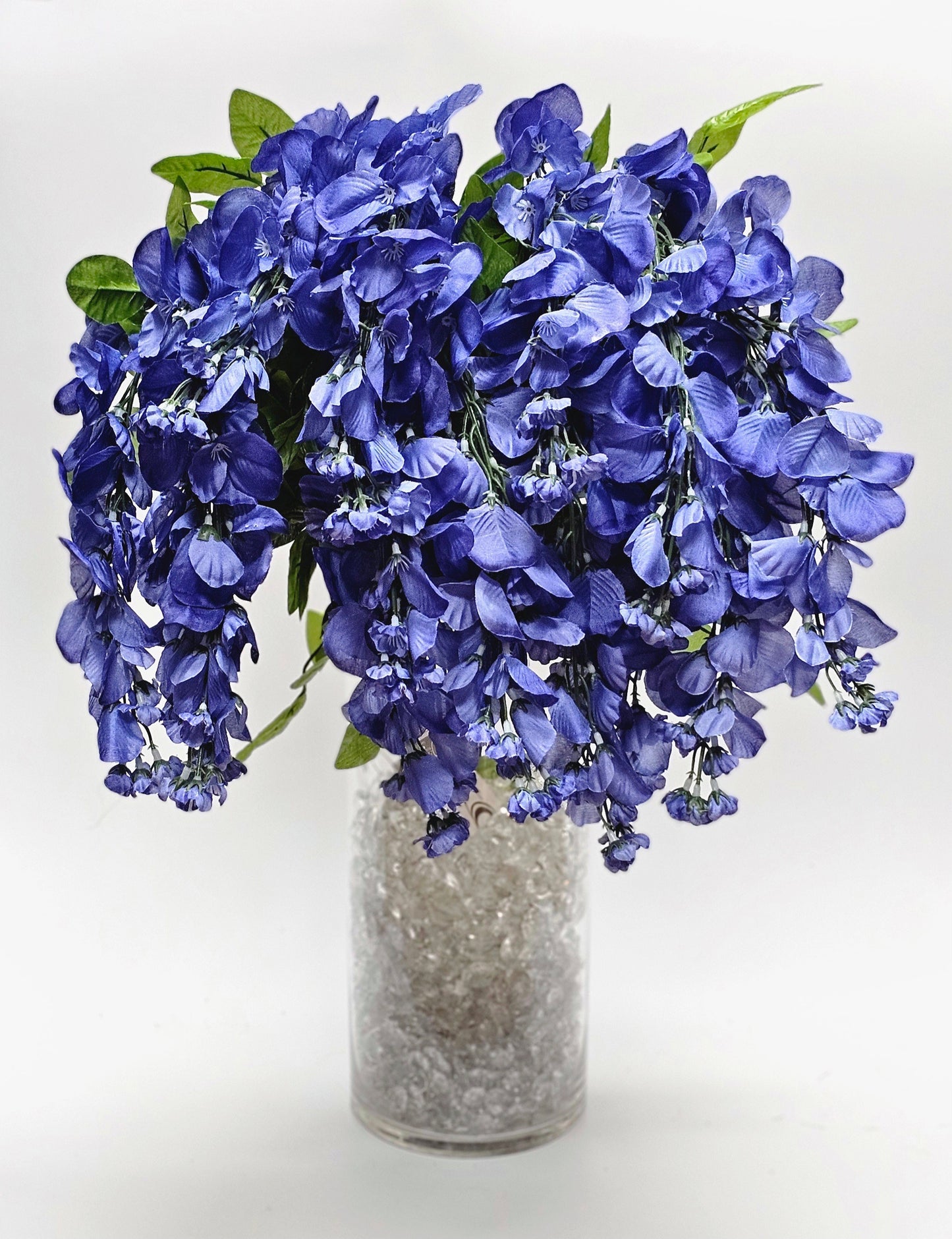 Wisteria Long hanging bush x 15 - BLUE