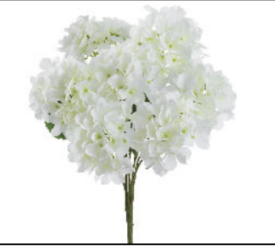 21"HYDRANGEA BUSH X7 CR