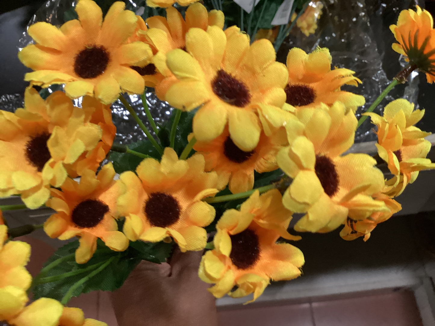 Mini Sunflowers Dozen Bag